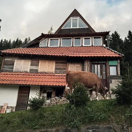 Kopanikskirooms * Kopaonik