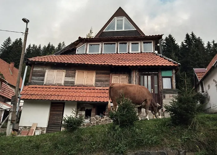 Kopanikskirooms * Kopaonik