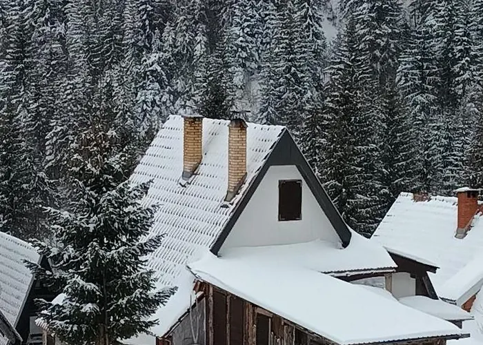 Kopanikskirooms Konukevi